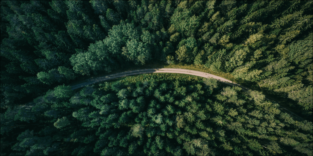 Aerial view of Upper Peninsula forest