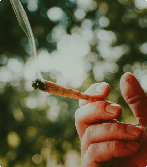 pre-rolls