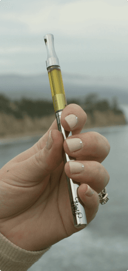 cartridges
